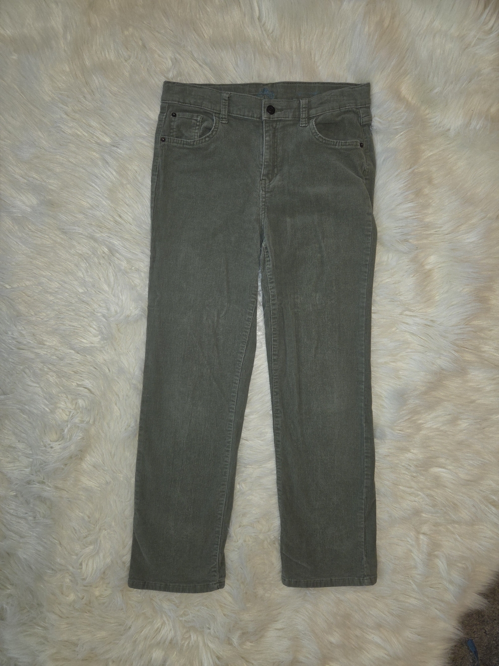 Kid Girl Olive Green Jeans - High Rise Straight Fit 14.5Plus